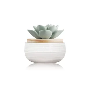 Golden Barrel Artificial Cactus in Contemporary Stone Pot
