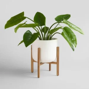 Indoor Plant - Bois Avec trous + soucoupe